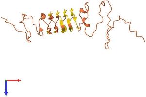AlphaFold protein structure predicition of Mouse Recombinant Krtap5-2 Protein, UniprotID Q9D5Z7
