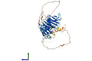 AlphaFold protein structure predicition of Mouse Recombinant Dcaf10 Protein, UniprotID A2AKB9