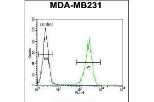 Flow cytometric analysis of MDA-MB231 cells (right histogram) compared to a negative control cell (left histogram). (RAB11FIP2 anticorps  (AA 345-374))