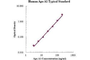 ELISA image for Apolipoprotein A-I (APOA1) ELISA Kit (ABIN3198396)