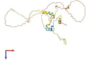 AlphaFold protein structure predicition of Human Recombinant CITED2 Protein, UniprotID Q99967