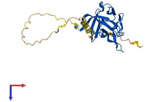 AlphaFold protein structure predicition of Mouse Recombinant Fgf11 Protein, UniprotID P70378