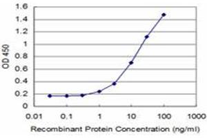 Detection limit for recombinant GST tagged MEF2A is approximately 1ng/ml as a capture antibody. (MEF2A anticorps  (AA 71-170))