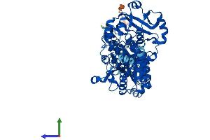 AlphaFold protein structure predicition of Human Recombinant PAPSS1 Protein, UniprotID O43252