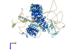 AlphaFold protein structure predicition of Mouse Recombinant Sf3b1 Protein, UniprotID Q99NB9