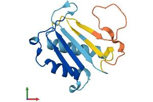 AlphaFold protein structure predicition of Human Recombinant DDTL Protein, UniprotID A6NHG4