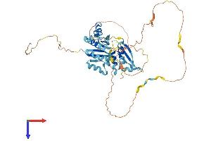 AlphaFold protein structure predicition of Human Recombinant HNRNPK Protein, UniprotID P61978