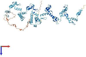 AlphaFold protein structure predicition of Human Recombinant ZNF30 Protein, UniprotID P17039