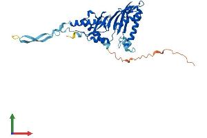 AlphaFold protein structure predicition of Human Recombinant TRUB2 Protein, UniprotID O95900
