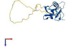 AlphaFold protein structure predicition of Mouse Recombinant Atg12 Protein, UniprotID Q9CQY1