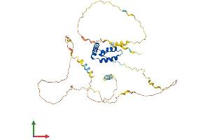 AlphaFold protein structure predicition of Human Recombinant SOX18 Protein, UniprotID P35713
