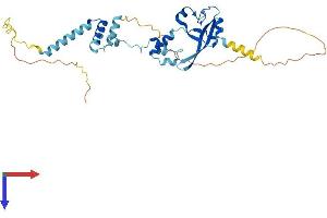 AlphaFold protein structure predicition of Mouse Recombinant Fra10ac1 Protein, UniprotID Q8BP78