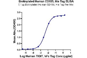 Immobilized Biotinylated Human CD155, His Tag at 1 μg/mL (100 μL/well) on the streptavidin precoated plate (5 μg/mL).