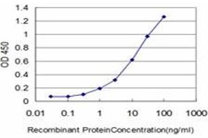 Detection limit for recombinant GST tagged CSE1L is approximately 0. (Exportin 2 anticorps  (AA 872-971))