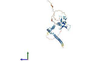 AlphaFold protein structure predicition of Human Recombinant PHF11 Protein, UniprotID Q9UIL8