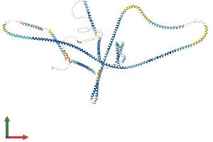 AlphaFold protein structure predicition of Mouse Recombinant Erc1 Protein, UniprotID Q99MI1