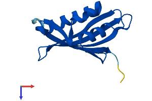 Nuclear Transport Factor 2 (NUTF2) (AA 1-127) protein (His tag)