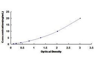 Calbindin 2 (CALB2) ELISA Kit