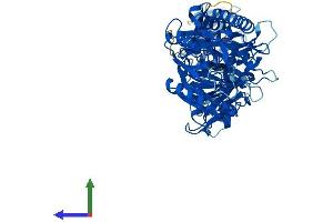 AlphaFold protein structure predicition of Mouse Recombinant Padi3 Protein, UniprotID Q9Z184