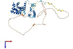AlphaFold protein structure predicition of Mouse Recombinant Fam98a Protein, UniprotID Q3TJZ6