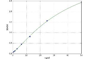 A typical standard curve (Fascin Kit ELISA)