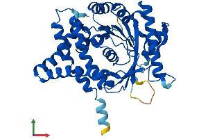 AlphaFold protein structure predicition of Mouse Recombinant Agpat5 Protein, UniprotID Q9D1E8