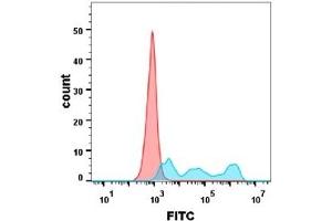 Flow cytometry analysis with Anti-CD30  (DM103) on Expi293 cells transfected with human CD30(Blue histogram) or Expi293 transfected with irrelevant protein (Red histogram).