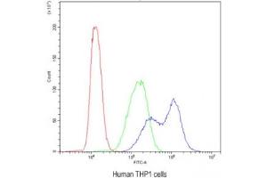 Flow cytometry testing of human THP1 cells with BIK antibody at 1ug/10^6 cells (blocked with goat sera) (BIK anticorps  (AA 1-123))