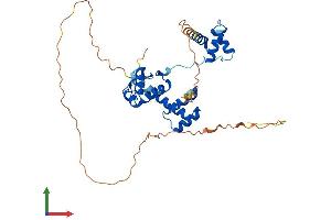 AlphaFold protein structure predicition of Mouse Recombinant Pax4 Protein, UniprotID P32115