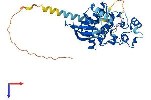 AlphaFold protein structure predicition of Mouse Recombinant Cdkl4 Protein, UniprotID Q3TZA2