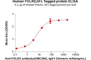ELISA plate pre-coated by 2 μg/mL (100 μL/well) Human F Protein, hFc Tag(ABIN6964188, ABIN7042635 and ABIN7042636) can bind Anti-F antibody, IgG1 Chimeric mAb in a linear range of 0.