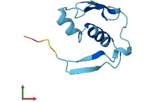 AlphaFold protein structure predicition of Human Recombinant MEIG1 Protein, UniprotID Q5JSS6