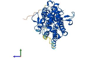 AlphaFold protein structure predicition of Mouse Recombinant Ido2 Protein, UniprotID Q8R0V5
