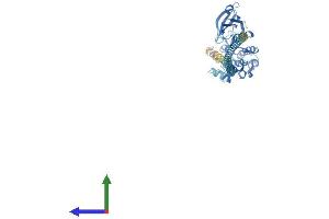AlphaFold protein structure predicition of Mouse Recombinant Dapk3 Protein, UniprotID O54784
