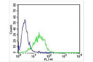 Overlay histogram showing Jurkat cells stained with (ABIN652569 and ABIN2842382) (green line).