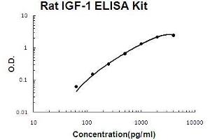 Rat IGF-1 PicoKine ELISA Kit standard curve (IGF1 Kit ELISA)