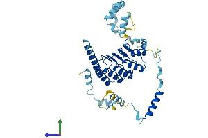 AlphaFold protein structure predicition of Mouse Recombinant Tmod4 Protein, UniprotID Q9JLH8