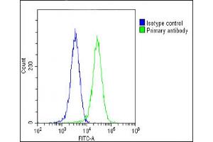 Overlay histogram showing Hela cells stained with (ABIN6243119 and ABIN6578706)(green line).