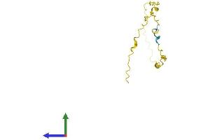 AlphaFold protein structure predicition of Human Recombinant GAGE5 Protein, UniprotID Q13069