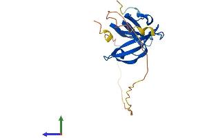 AlphaFold protein structure predicition of Mouse Recombinant Nabp1 Protein, UniprotID Q8BGW5