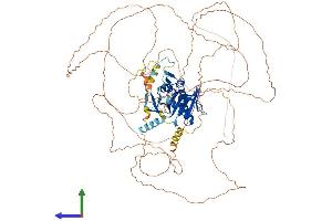 AlphaFold protein structure predicition of Mouse Recombinant Esco1 Protein, UniprotID Q69Z69