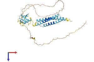 AlphaFold protein structure predicition of Human Recombinant BAG1 Protein, UniprotID Q99933