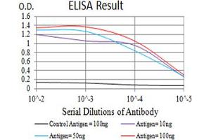 Black line: Control Antigen (100 ng),Purple line: Antigen (10 ng), Blue line: Antigen (50 ng), Red line:Antigen (100 ng)