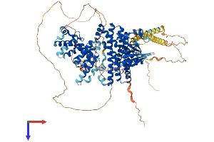 AlphaFold protein structure predicition of Mouse Recombinant Arhgef1 Protein, UniprotID Q61210