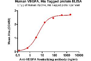 ELISA plate pre-coated by 1 μg/mL (100 μL/well) Human VEGFA , His tagged protein (ABIN6964094, ABIN7042443 and ABIN7042444) can bind Anti-VEGFA Neutralizing antibody ABIN7093077 and ABIN7272607 in a linear range of 3.
