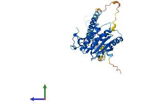 AlphaFold protein structure predicition of Mouse Recombinant Med27 Protein, UniprotID Q9DB40