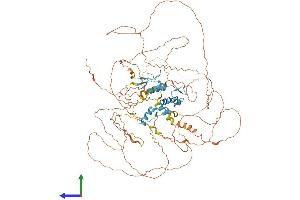 AlphaFold protein structure predicition of Human Recombinant ATMIN Protein, UniprotID O43313