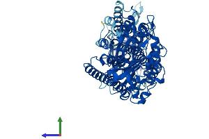 AlphaFold protein structure predicition of Human Recombinant ALOX15B Protein, UniprotID O15296