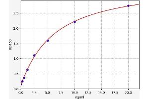 Typical standard curve (RUVBL1 Kit ELISA)
