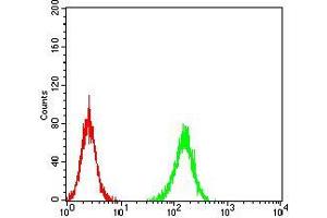 Flow cytometric analysis of K562 cells using ADAMTS1 mouse mAb (green) and negative control (red).